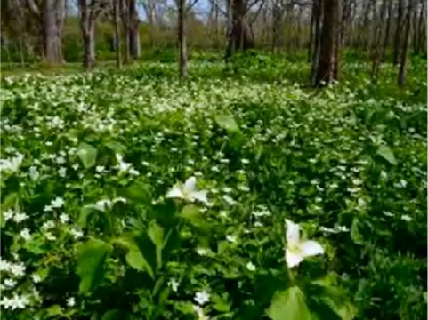 TEC-FORCEとして災害支援