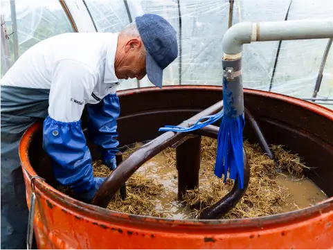 カノコソウ事業