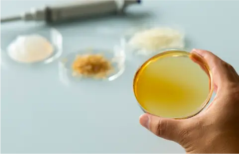 原料はてん菜由来の製糖副産物