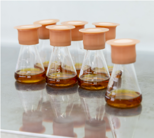 酢酸菌による培養