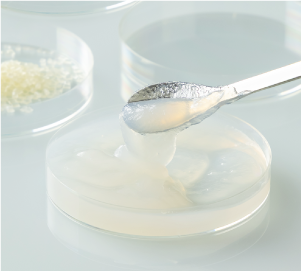 発酵ナノセルロース