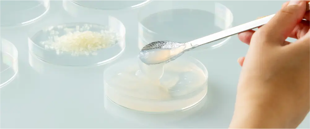 発酵ナノセルロース事業