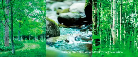 河畔林の保全・利用