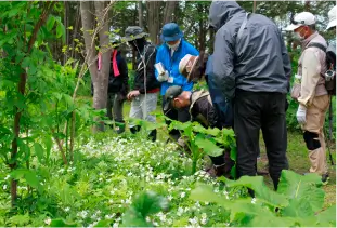 自然保護思想の普及啓発