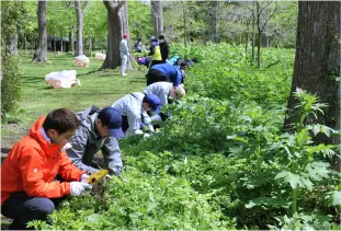 自然環境の保全、復元及び活用