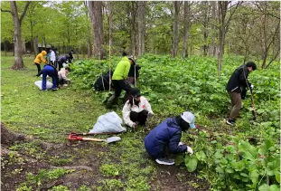 自然環境の保全、復元及び活用