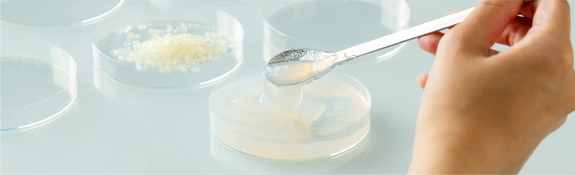 発酵ナノセルロース事業