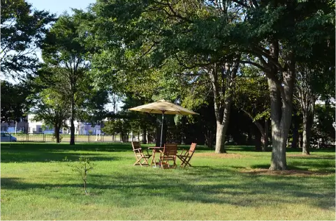 木々の緑豊かな社庭