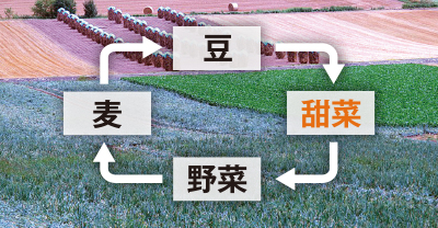 北海道の４輪作の例図