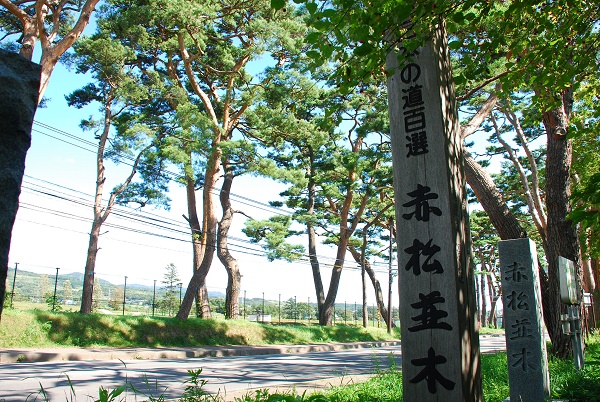 日本の道百選「赤松並木」(写真提供:七飯町)
